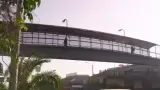 Obras como el Viaducto Elevado son perfectibles y deber�an participar en su dise