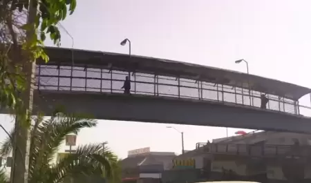 Obras como el Viaducto Elevado son perfectibles y deber�an participar en su dise