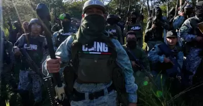 C�rteles mexicanos