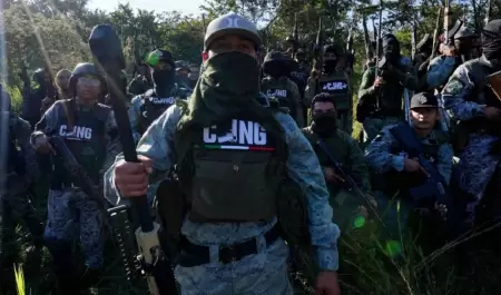 C�rteles mexicanos