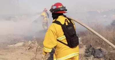 Refuerzan prevenci�n de incendios forestales en Rosarito