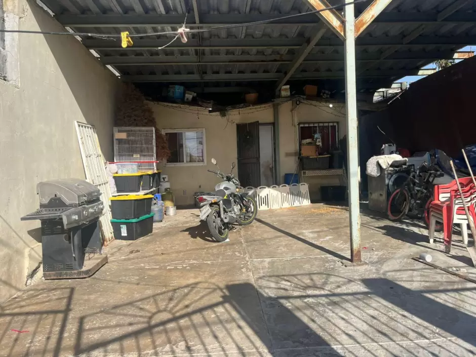 Maltrato animal en Nuevo Milenio