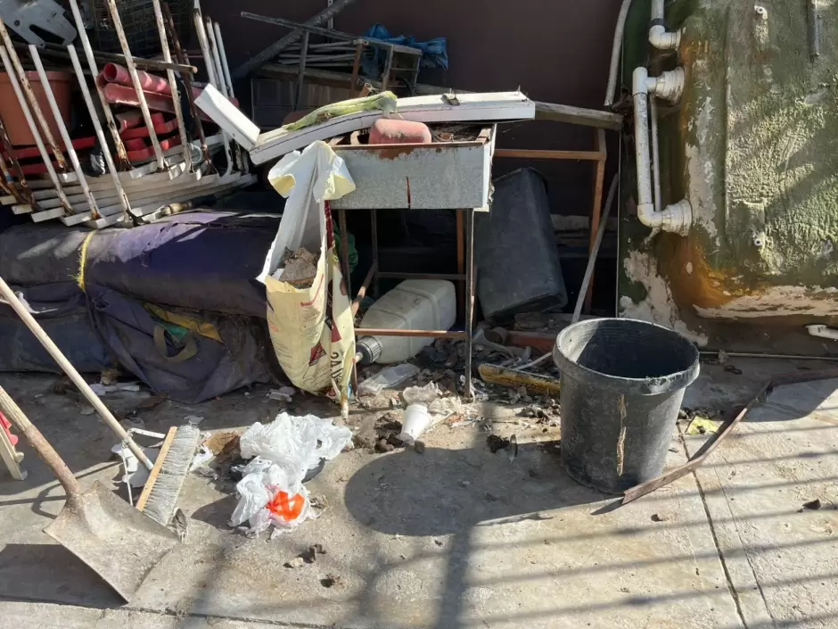 Maltrato animal en Nuevo Milenio