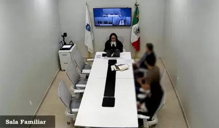 Primera audiencia en materia familiar