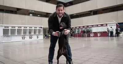 Declara Ismael Burgue�o a Palacio Municipal como espacio pet friendly