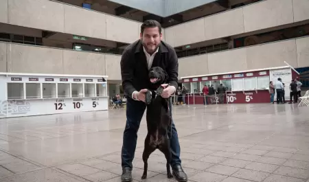 Declara Ismael Burgue�o a Palacio Municipal como espacio pet friendly