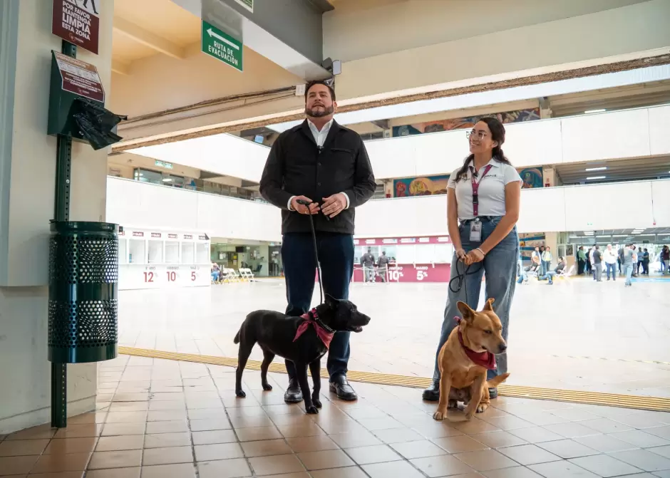 Declara Ismael Burgue�o a Palacio Municipal como espacio pet friendly
