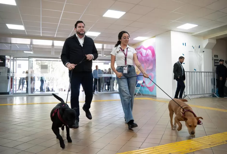 Declara Ismael Burgue�o a Palacio Municipal como espacio pet friendly