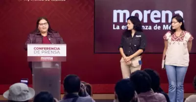 Citlalli Hern�ndez Mora presidir� la Comisi�n Nacional de Elecciones de Morena