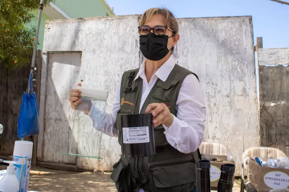 Prevenci�n de enfermedades transmitidas por vector