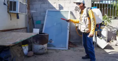 Prevenci�n de enfermedades transmitidas por vector