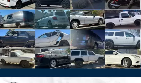 FGE recupera 37 veh�culos con reporte de robo en Tijuana