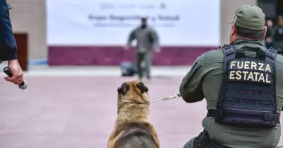 Aplicaci�n de protocolos de seguridad en planteles