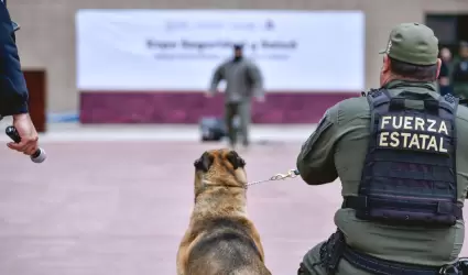 Aplicaci�n de protocolos de seguridad en planteles