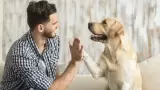 Comunicarte con tu perro.