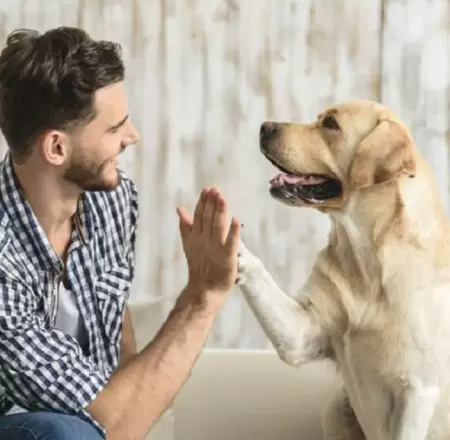 Comunicarte con tu perro.