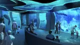 SeaWorld San Diego inaugura nueva experiencia inmersiva de tiburones el 22 de ma
