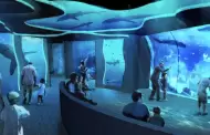 SeaWorld San Diego inaugura nueva experiencia inmersiva de tiburones el 22 de mayo