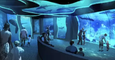 SeaWorld San Diego inaugura nueva experiencia inmersiva de tiburones el 22 de ma