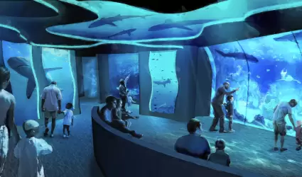SeaWorld San Diego inaugura nueva experiencia inmersiva de tiburones el 22 de ma