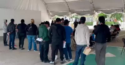 habitantes sin concluir educaci�n b�sica en Tijuana