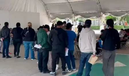 habitantes sin concluir educaci�n b�sica en Tijuana