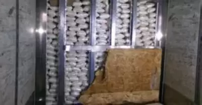 Decomiso de m�s de 3.000 libras de metanfetamina en la garita de carga de Otay