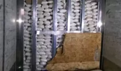 Decomiso de m�s de 3.000 libras de metanfetamina en la garita de carga de Otay