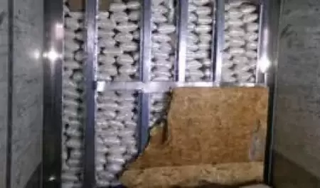 Decomiso de m�s de 3.000 libras de metanfetamina en la garita de carga de Otay