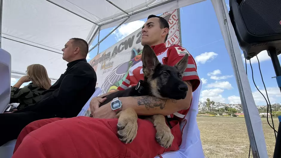Realizan certificaci�n masiva de perros de rescate en Tijuana