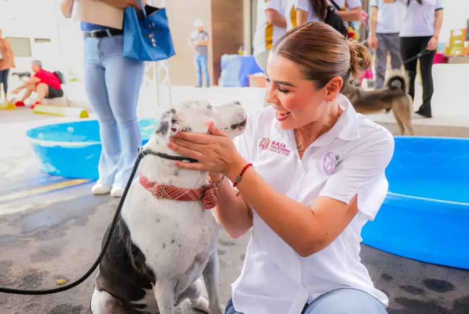Consolida gobernadora Marina del Pilar a Baja California como referente nacional en protecci�n y bienestar animal