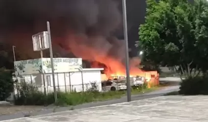 Violencia en Reynosa