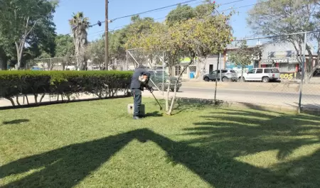 Mantenimiento al Parque Morelos