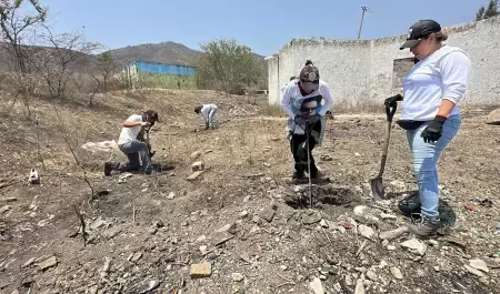 Jalisco, donde las familias cavan en busca de los desaparecidos
