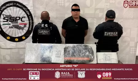 Arrestan a "El Pelucas", presunto integrante de grupo delictivo en Tijuana