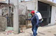 Advierten en Baja California sobre Rickettsiosis durante temporada de calor