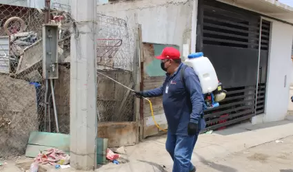Advierten en Baja California sobre Rickettsiosis durante temporada de calor