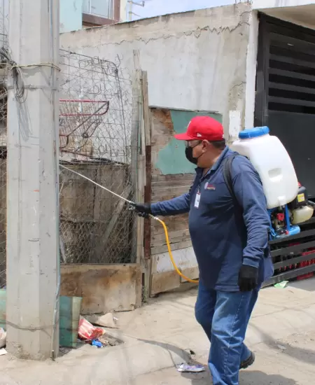 Advierten en Baja California sobre Rickettsiosis durante temporada de calor