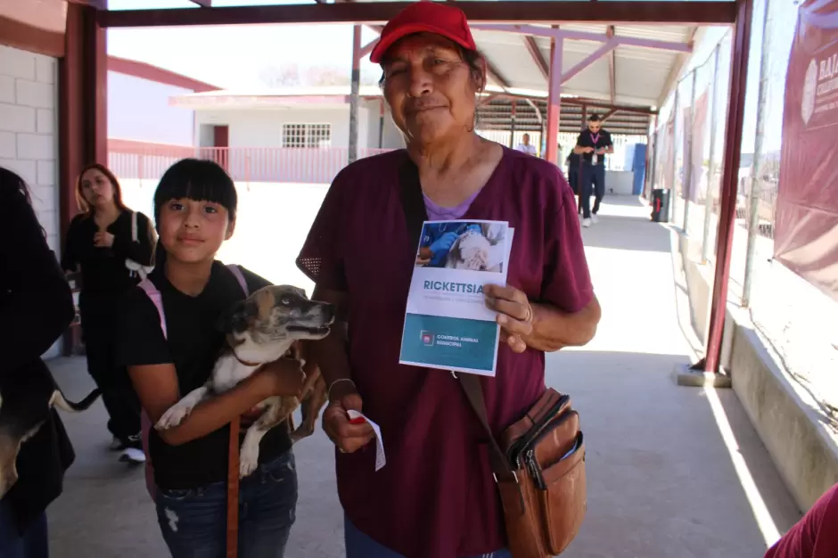 Advierten en Baja California sobre Rickettsiosis durante temporada de calor