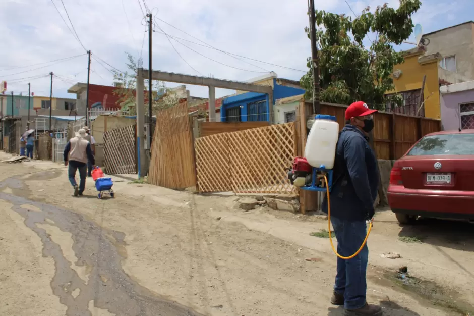 Advierten en Baja California sobre Rickettsiosis durante temporada de calor