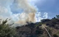 Bomberos atendieron 51 emergencias; rescates e incendio de pastizal fueron los casos relevantes
