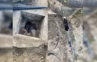 Perrito qued� atrapado en tuber�a y fue rescatado por bomberos de Tijuana