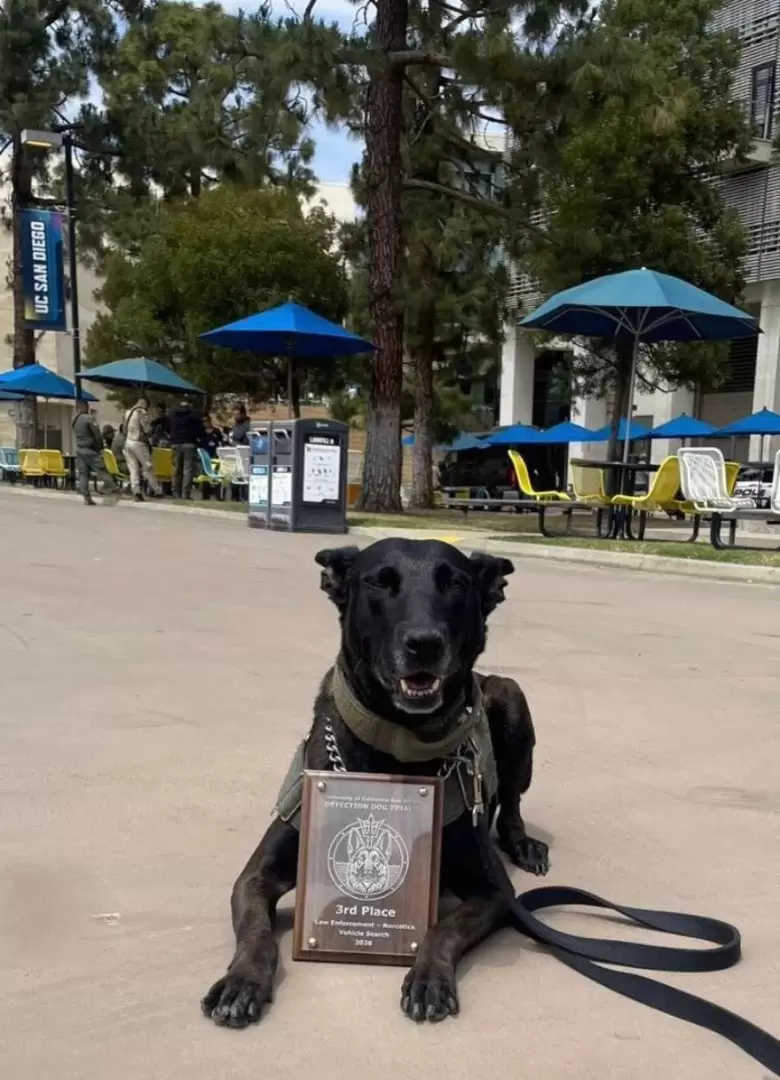 Binomios caninos de la FESC triunfan en competencia K-9 en San Diego