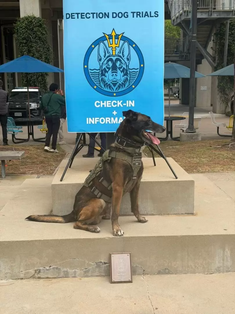 Binomios caninos de la FESC triunfan en competencia K-9 en San Diego
