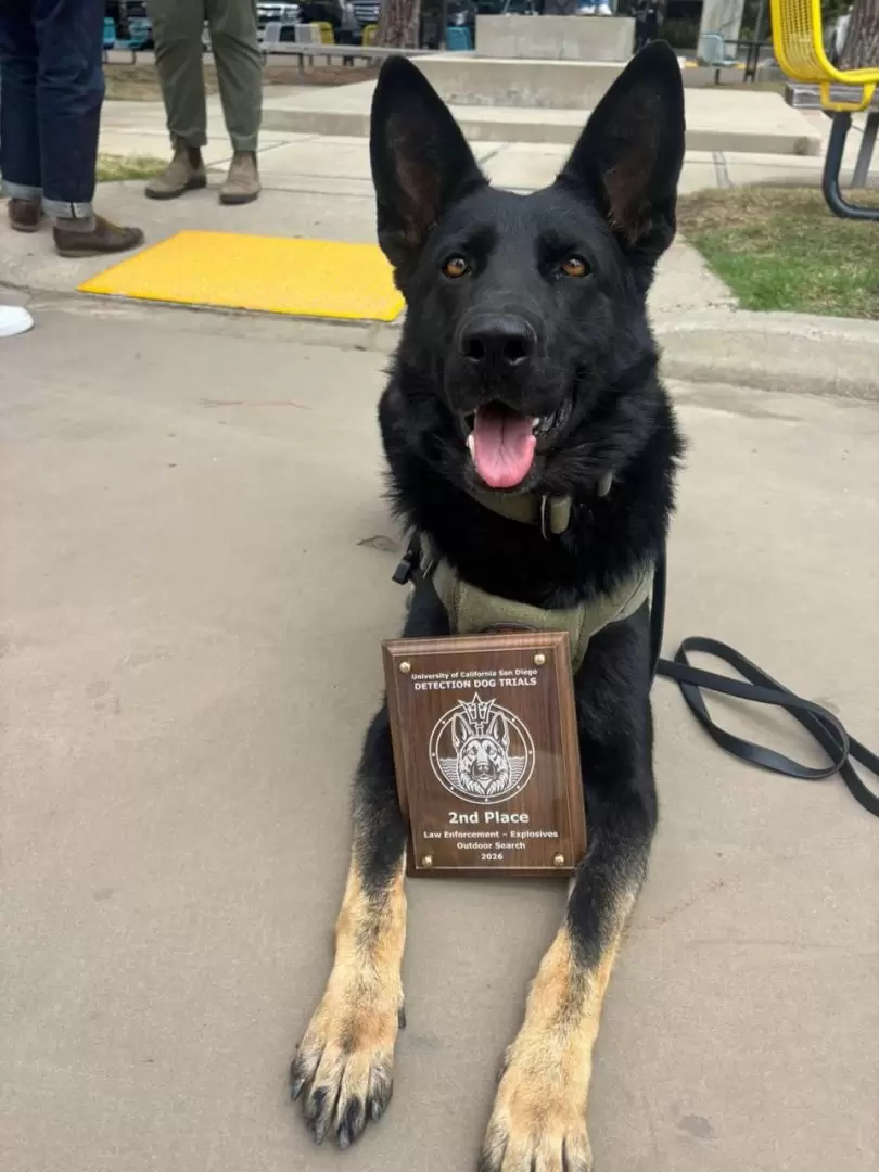 Binomios caninos de la FESC triunfan en competencia K-9 en San Diego