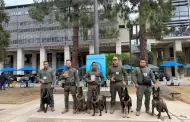 Binomios caninos de la FESC triunfan en competencia K-9 en San Diego