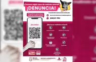 Invita Secretar�a de Medio Ambiente de Baja California a usar l�neas de emergencia y Whatsapp para denunciar crueldad y abandono de animales