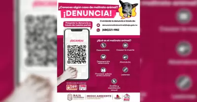 L�neas de emergencia y Whatsapp para denunciar crueldad y abandono de animales