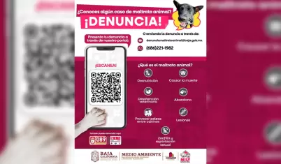 L�neas de emergencia y Whatsapp para denunciar crueldad y abandono de animales