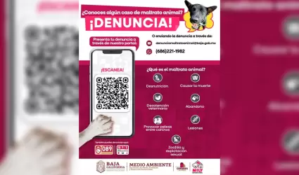 L�neas de emergencia y Whatsapp para denunciar crueldad y abandono de animales